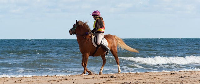 Horse riding on a beach