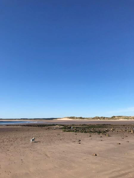 beadnell bay