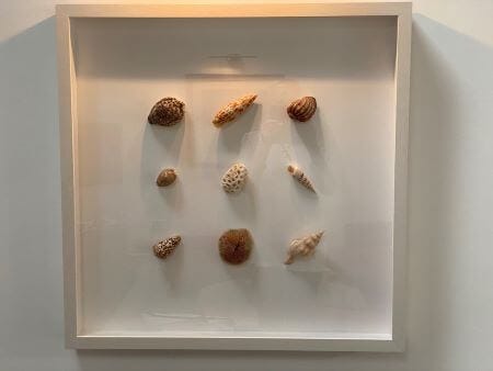 shell art