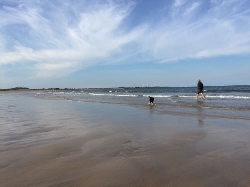 beadnell beach