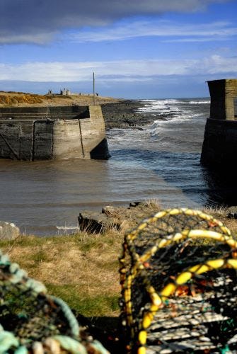 craster harbour