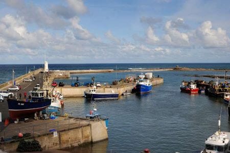 Seahouses harbour from Bluegrass communal garden