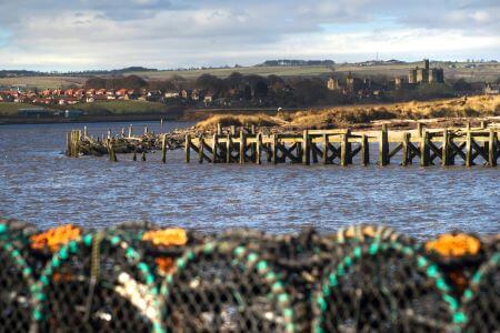 Coquet Island with Warkworth Castle in the background