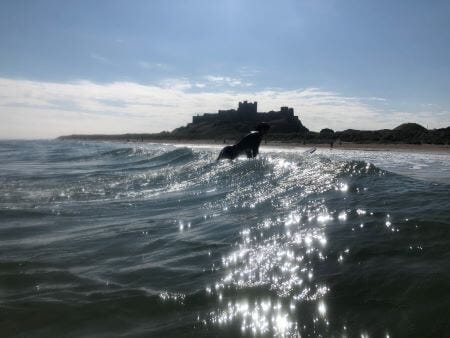 Surfing at bamburgh