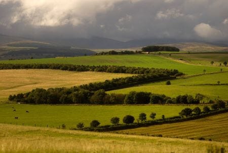Country views
