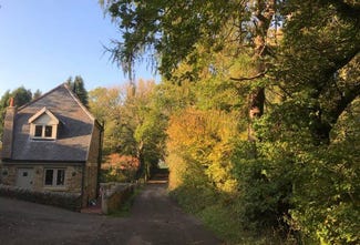 autumn tree lined drive