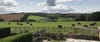 View over fields of cows